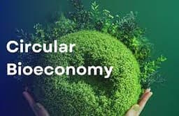 Bioeconomy